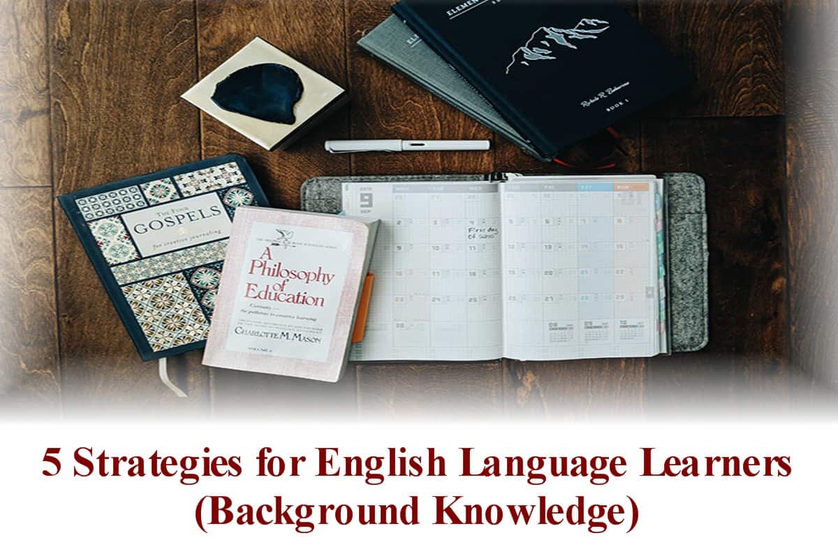 5 Strategies for English Language Learners (Lesson Delivery)