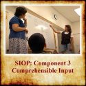 Component 3- ComprehensibleThumbnail