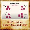 SIOP Activies- Expert Stay and Stray